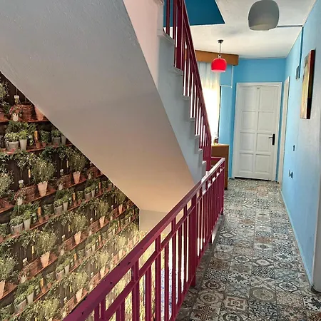 Hotel Yesim 5*